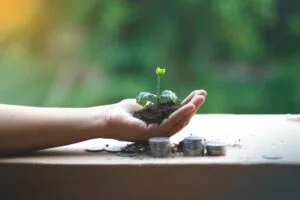 green plant on white ceramic pot