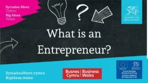 what-is-an-entrepreneur