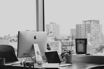 Best College Entrepreneurship Programs