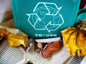 Reduce Your Business' Carbon Footprint Through Recyclable Packaging