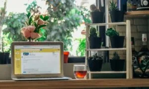 How to start an online business