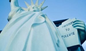 Trusted Immigration Law Firms