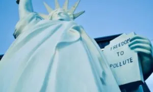 Trusted Immigration Law Firms